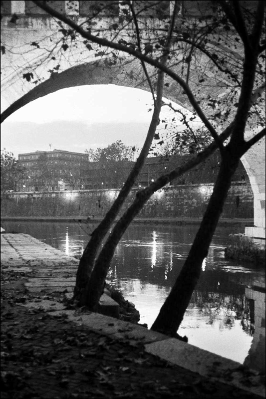 Tevere all'alba