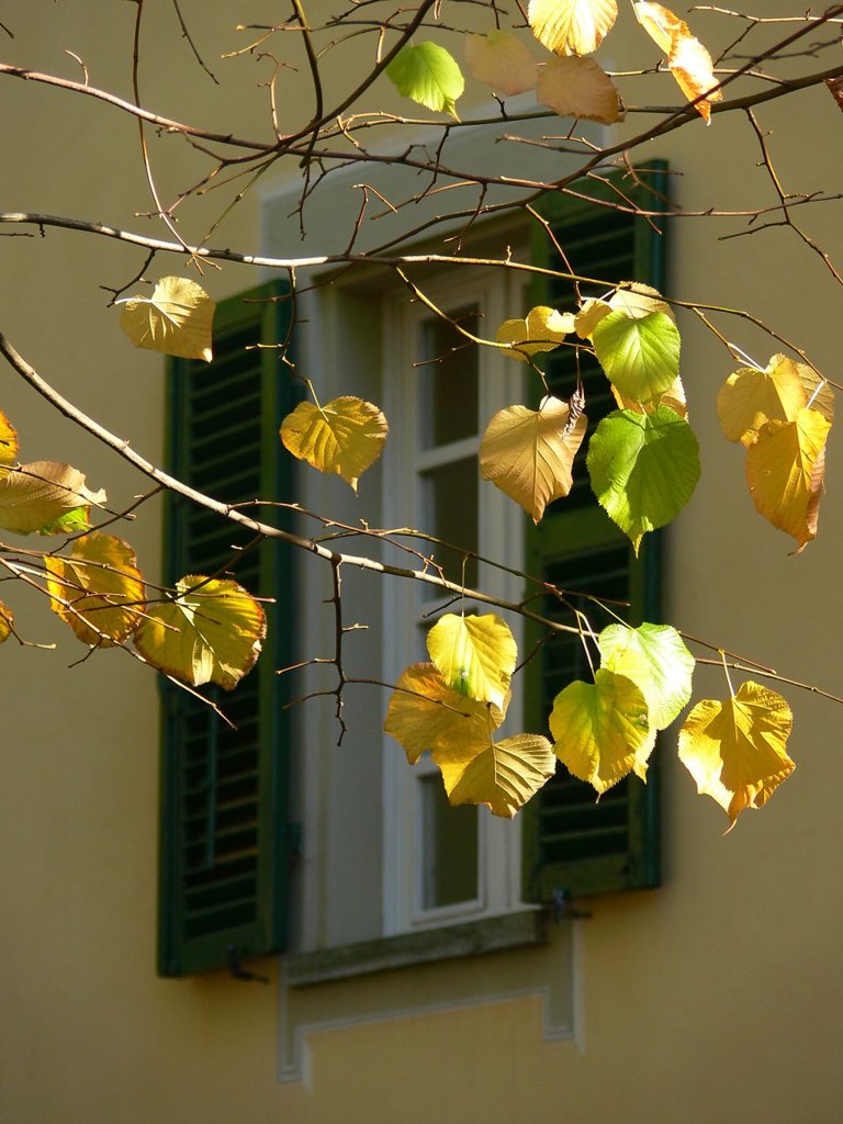 Autunno inoltrato