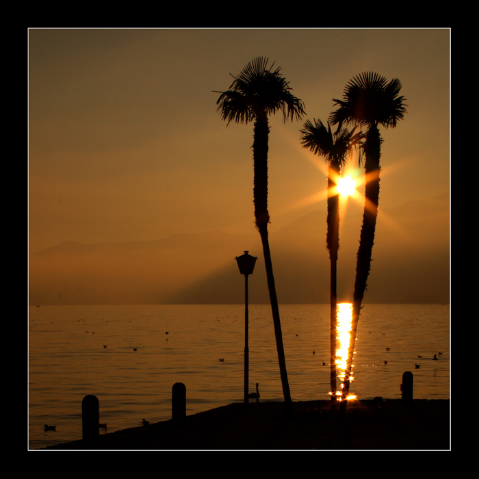 tramonto "palmifero" :p