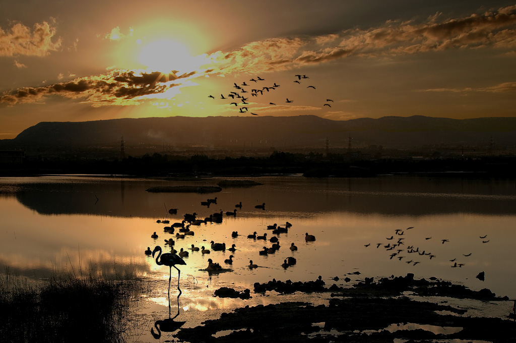 Oasi Naturale Saline di Priolo II