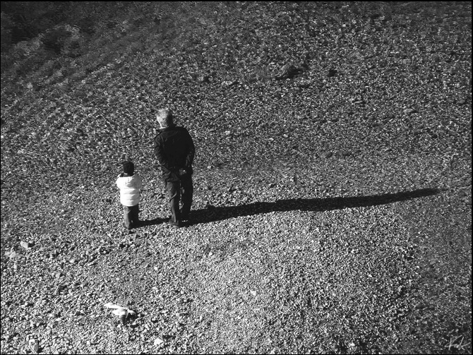 la lunghezza della vita