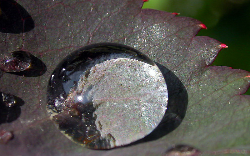 vedo..vedo un futuro migliore.....