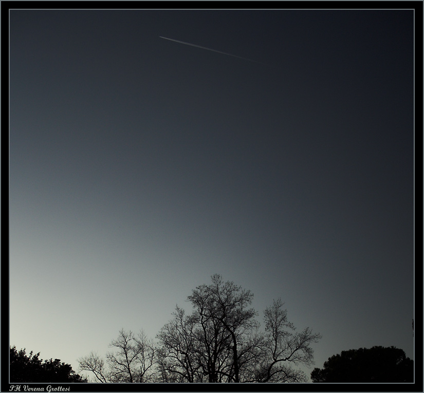 :::...Salve_a_tuttI...:::