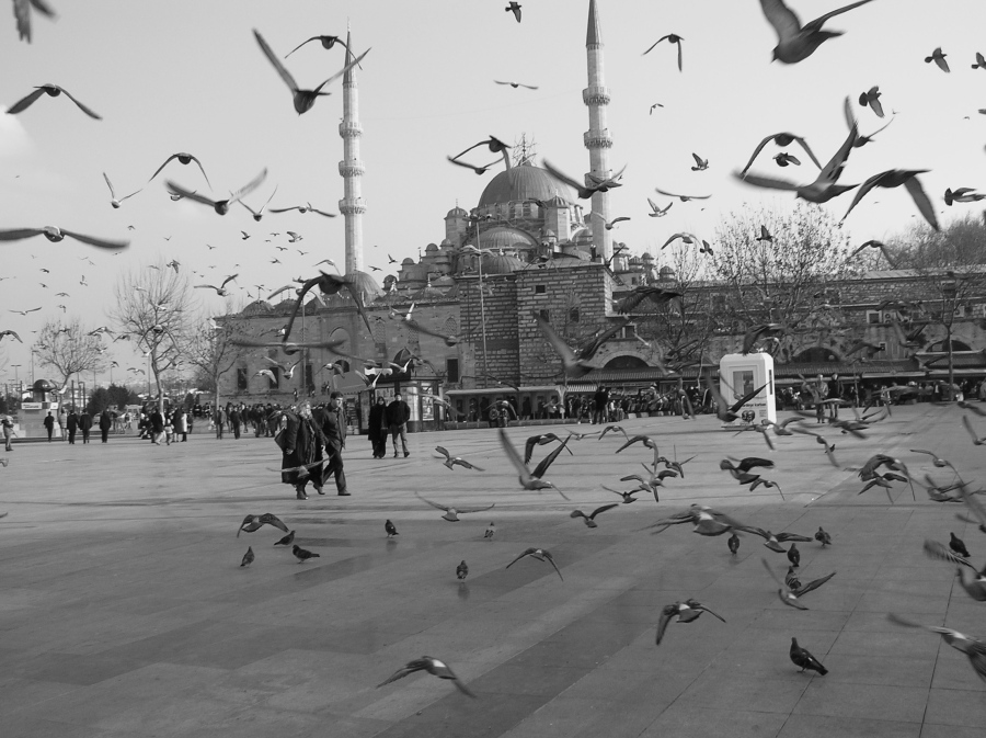 In volo per la moschea