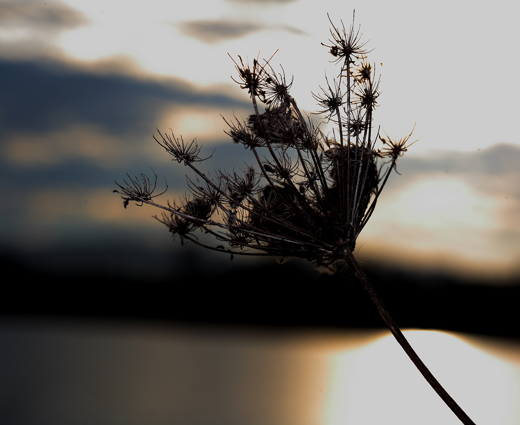 il colore della luce
