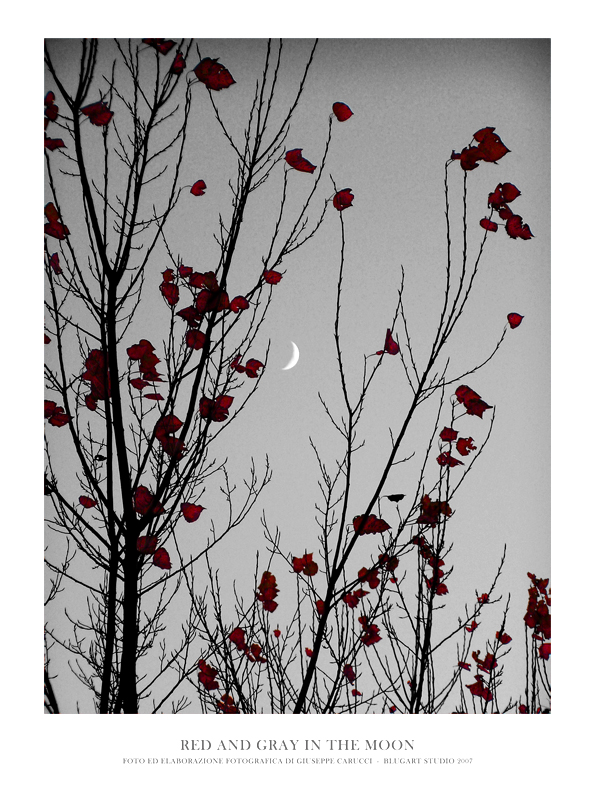 RED AND GRAY IN THE MOON