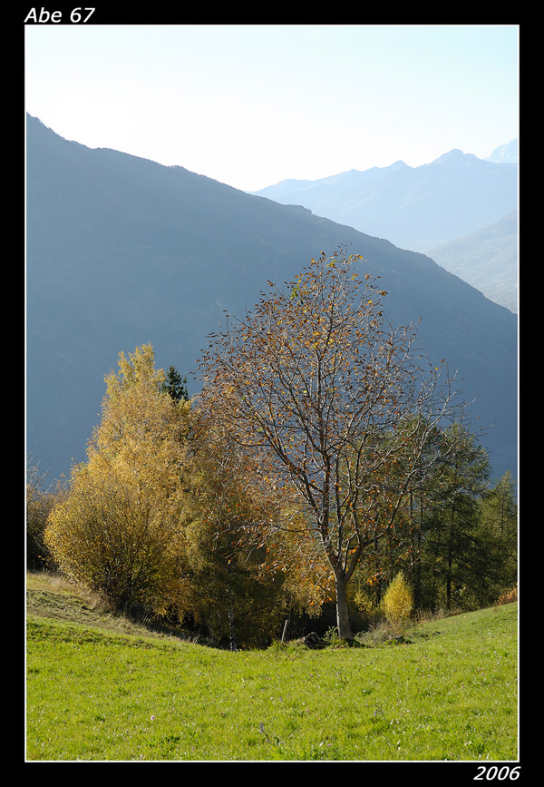paesaggio valdostano