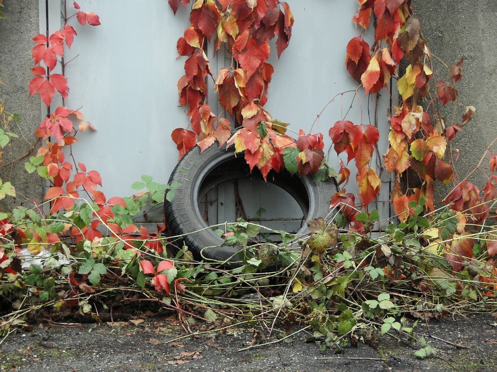 Pneumatico abbandonato