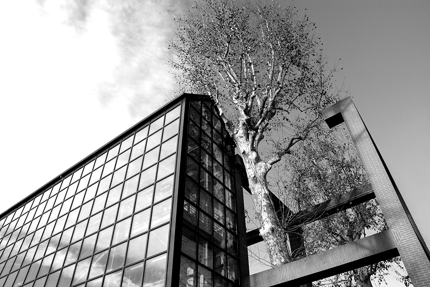 Torino, 03-01-07 (1)