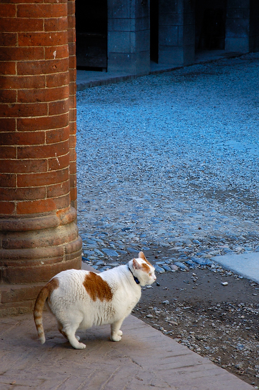 Torino, 03-01-07 (3)