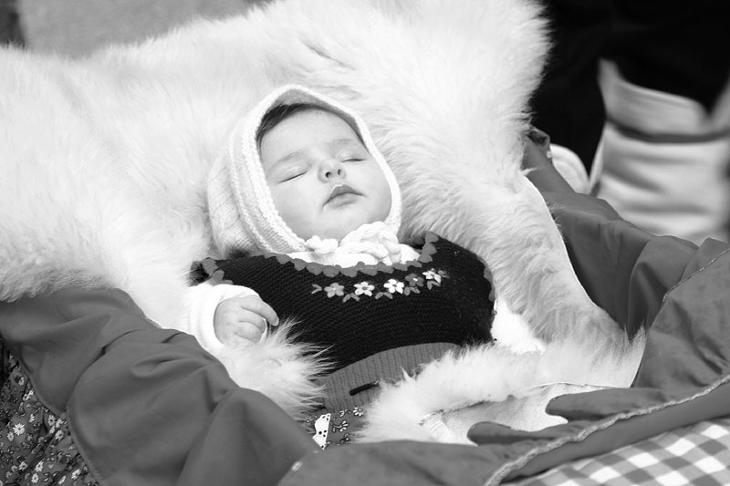 la bella addormentata 2