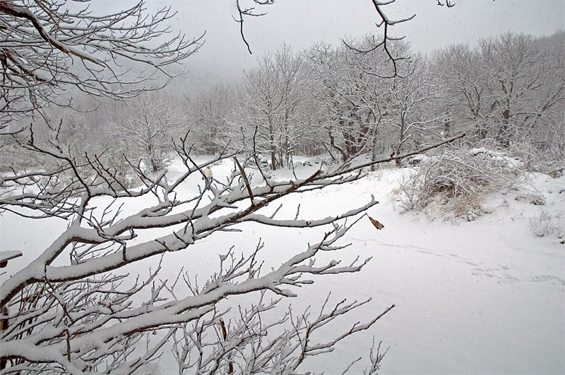 Neve sull'Etna 2