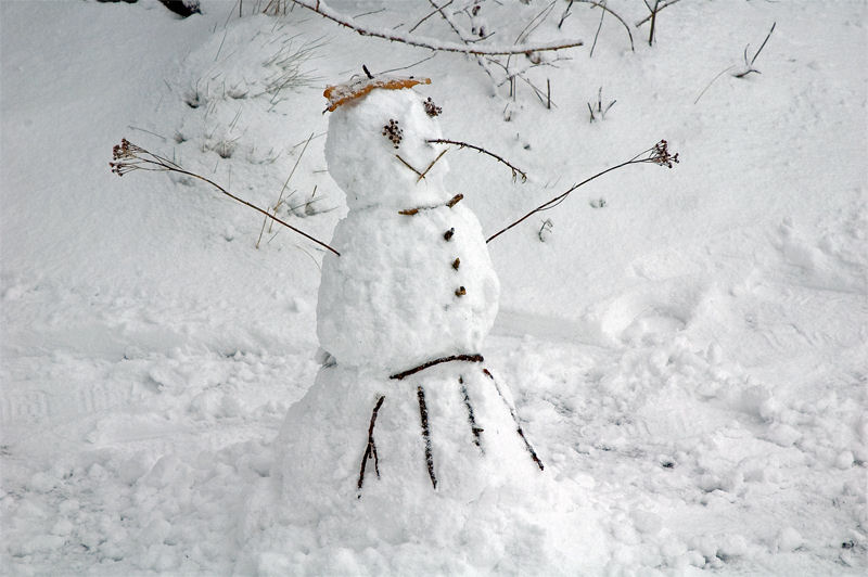 Omino di neve