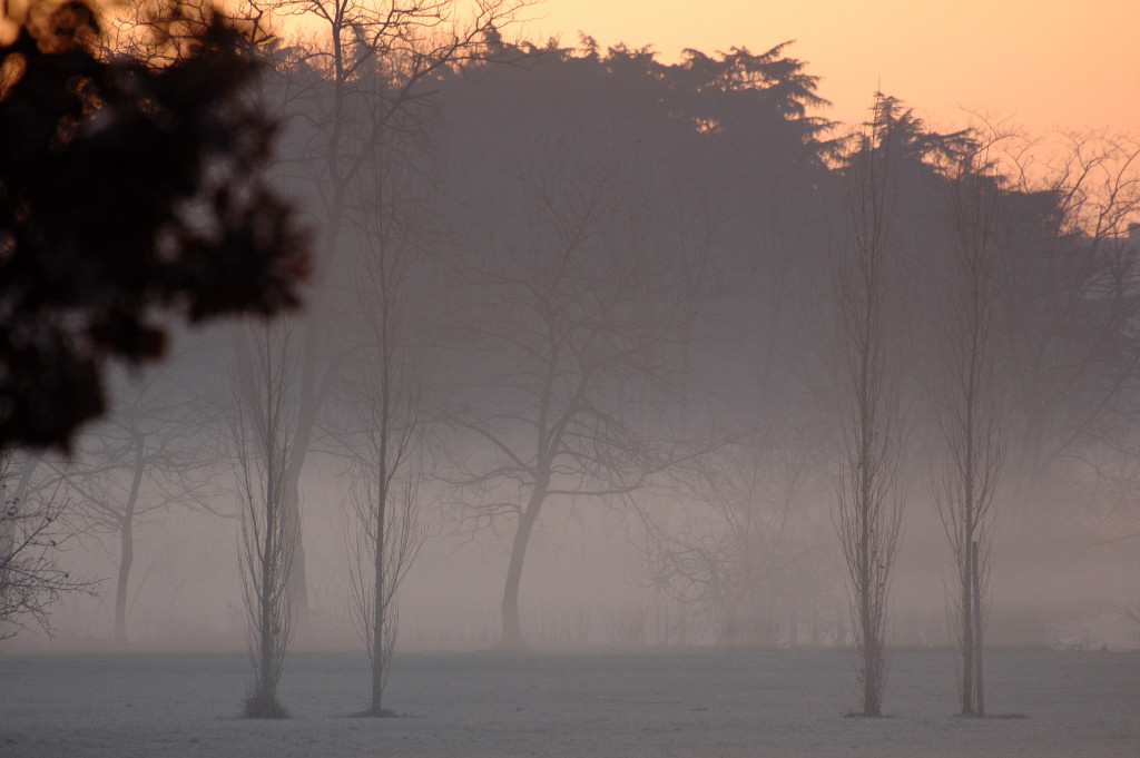 Inverno in un parco cittadino