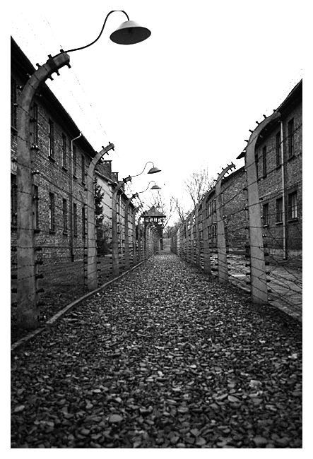 Auschwitz 8