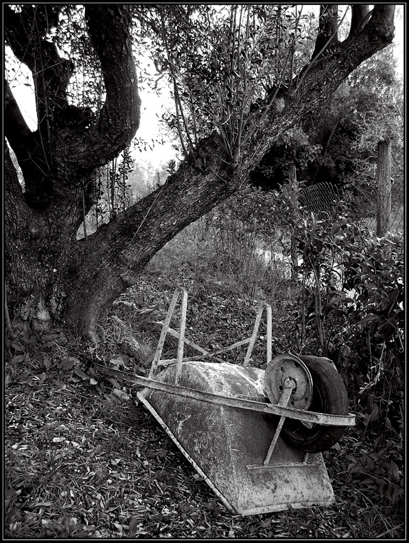 how do you think it feels?