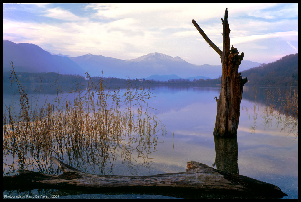 Avigliana, il lago piccolo #2.