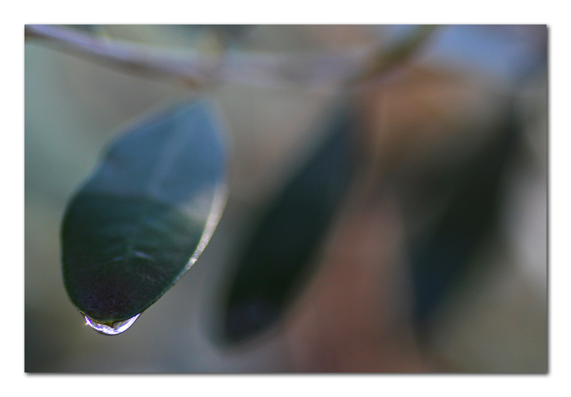 Una punta di tristezza