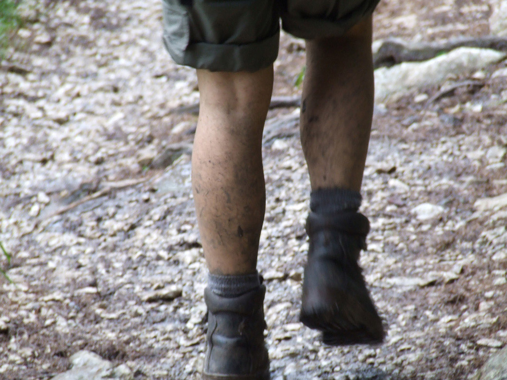 Un giorno di cammino