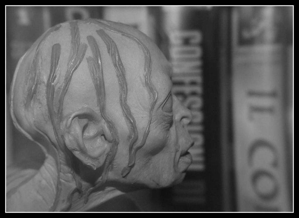 Lo sguardo del cinema