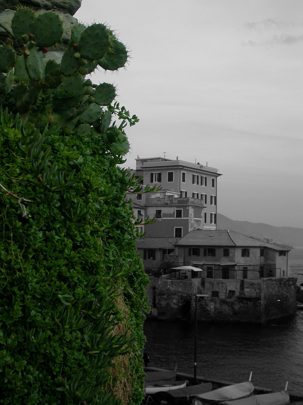 esperimento colore b/n