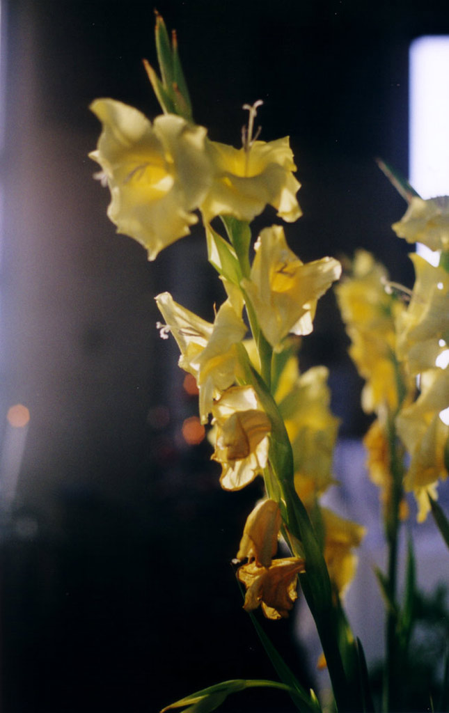 Nella chiesetta del Monte Grappa