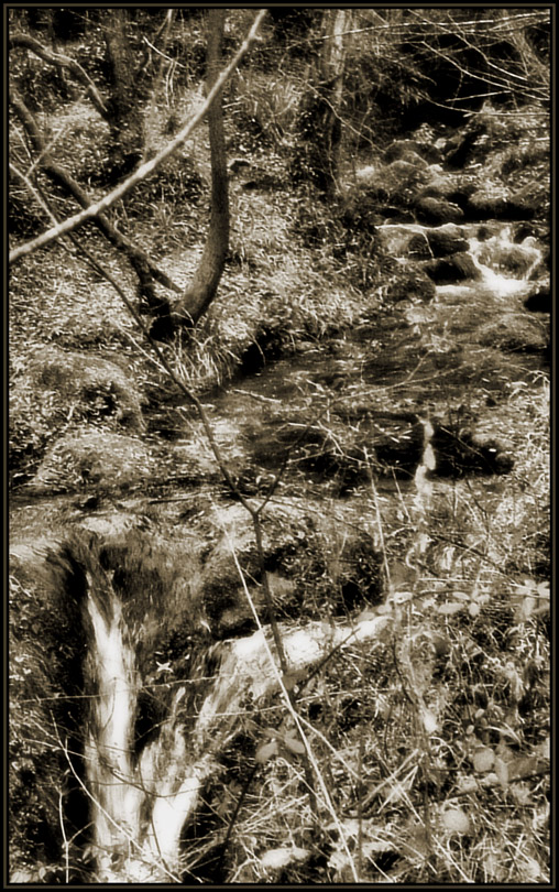 Abruzzo forte e gentile