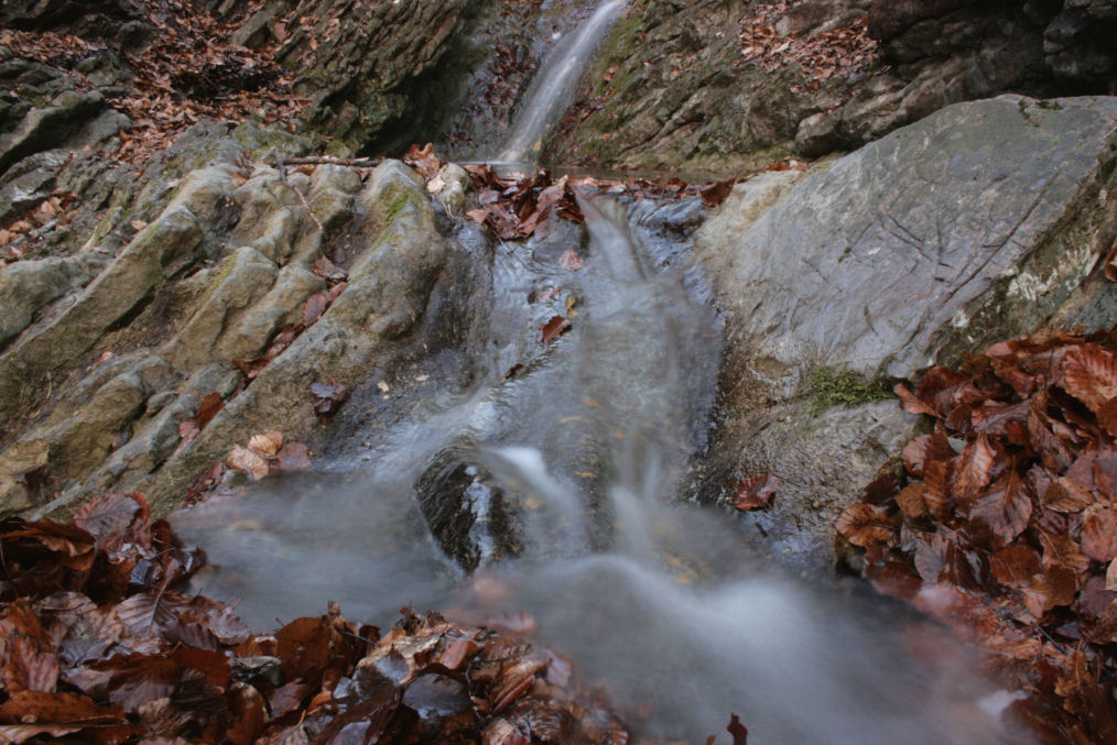 Torrentello di montagna