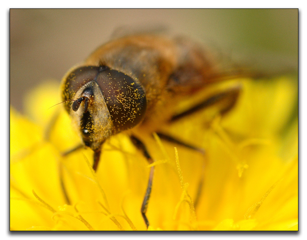 ti mangio con gli occhi!