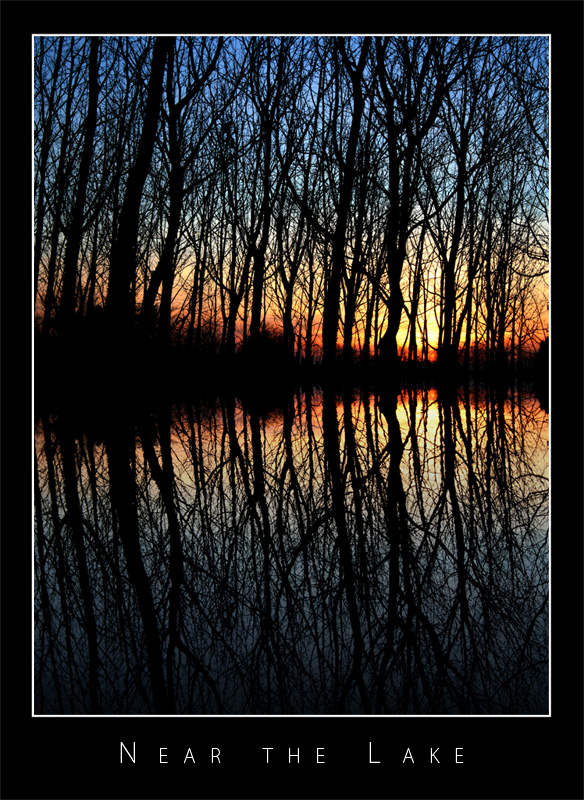 Near the Lake