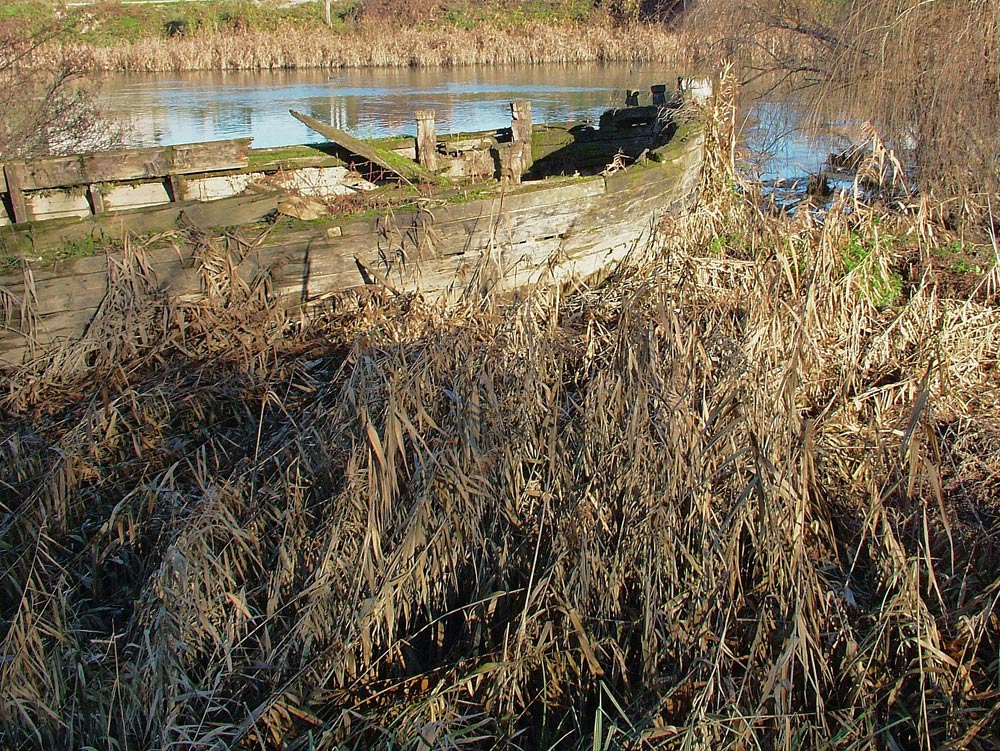 Canneto e resti di barca.