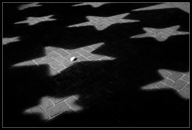 Starlights - Il cielo a terra