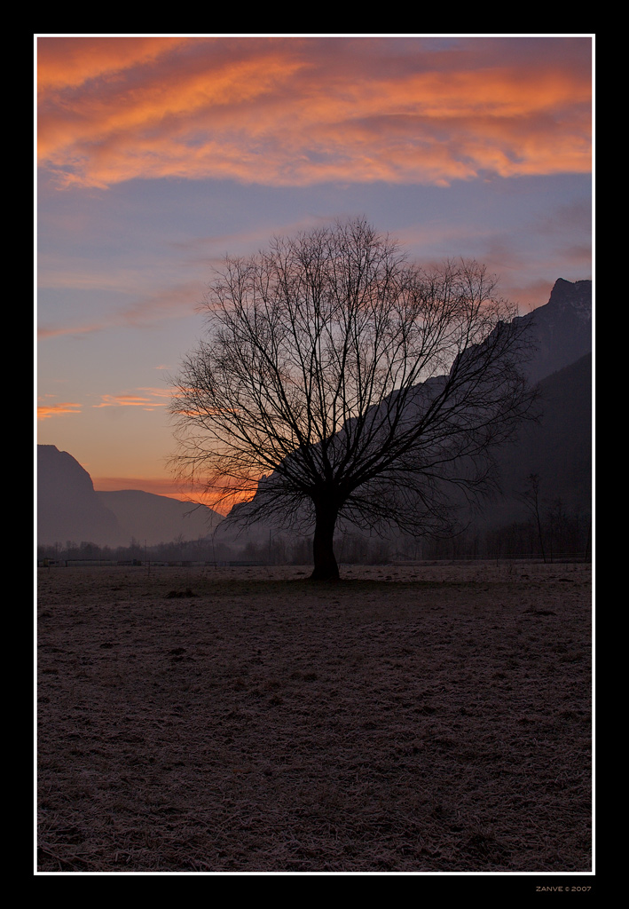 Under a Morning Red Sky