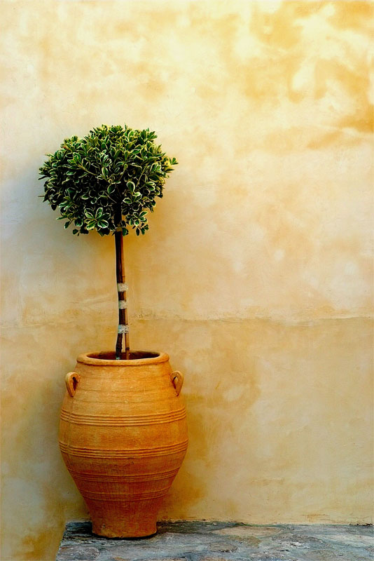 Vaso di Fiori Grecia