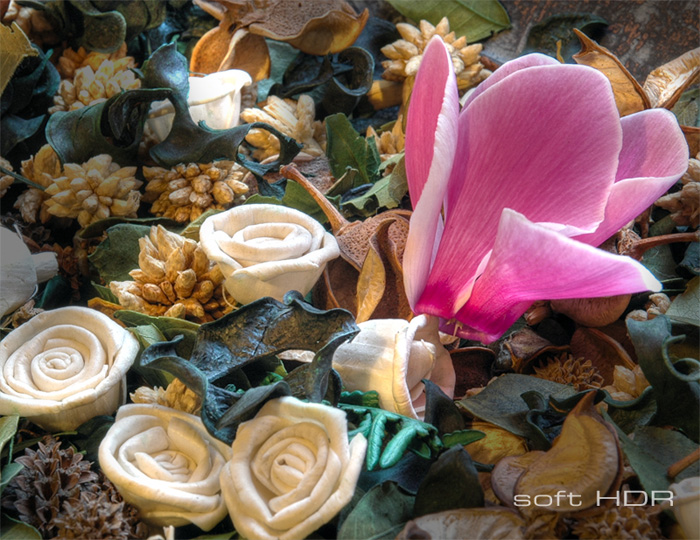 Soft Hdr