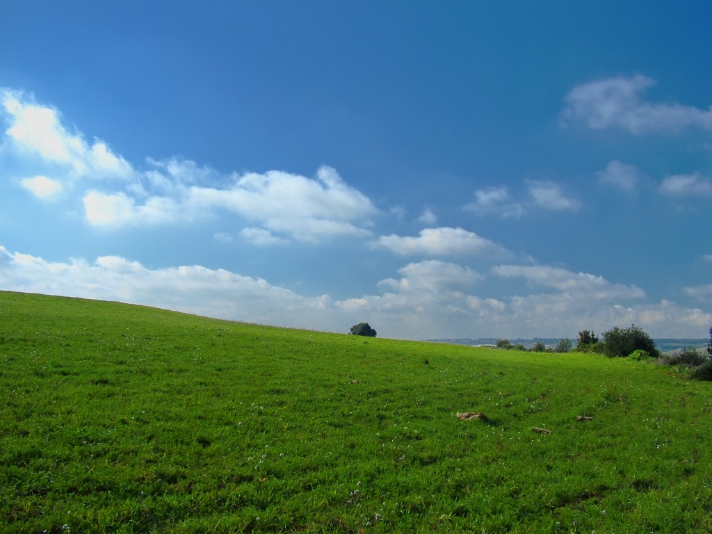 Ciao Bill...si...ti ho preparato il nuovo sfondo di windows!...