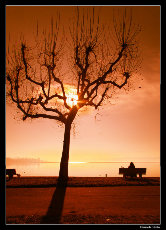 Sophie col suo bimbo