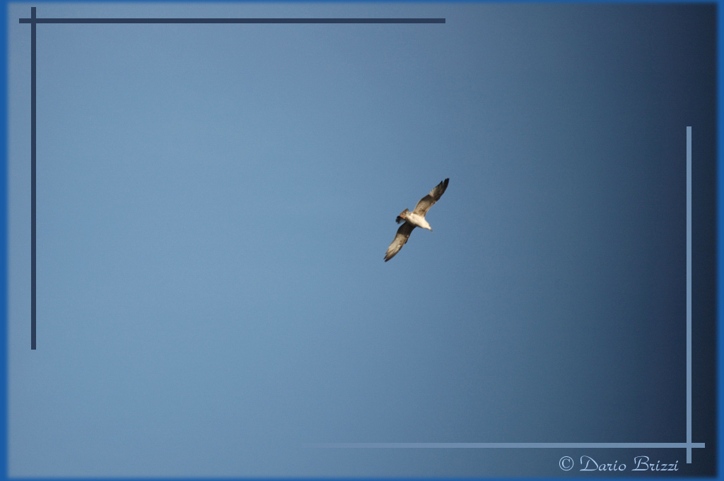 Libero di andare.....