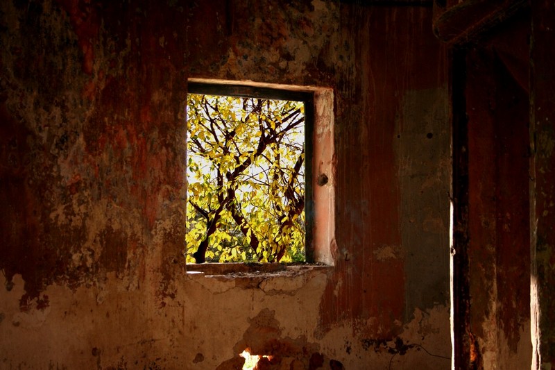 VISTA DA UNA FINESTRA