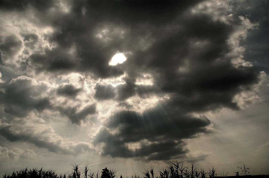 in attesa di una buona luce