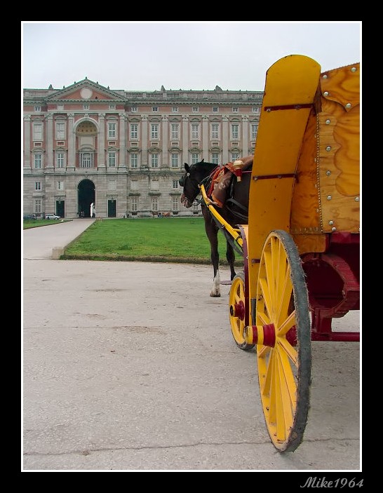 reggia con carrozzella