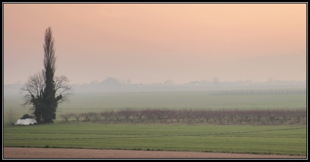 Nebbia di sera..2