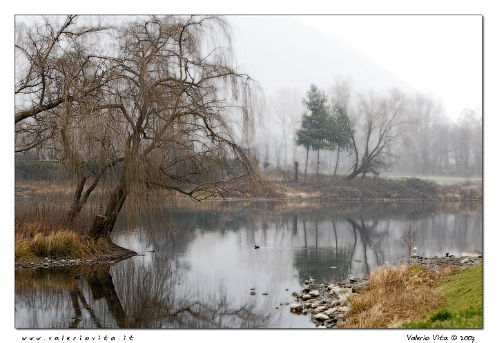L'Adda e le sue lanche