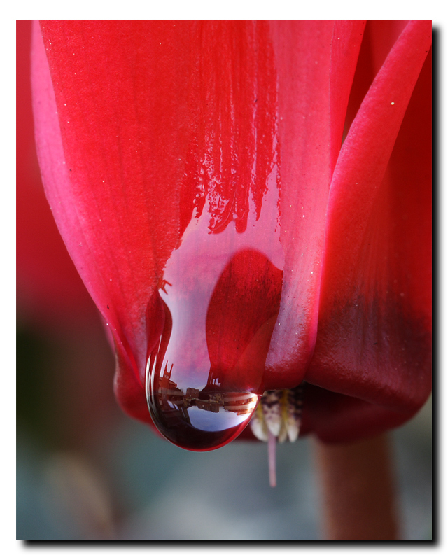 100 macro... consigli!!!