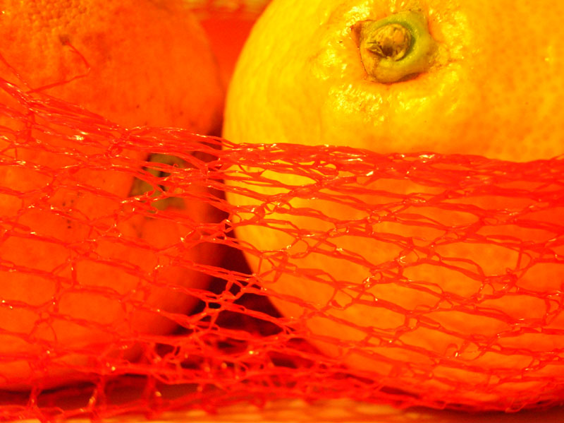 Ad ogni raffreddore..