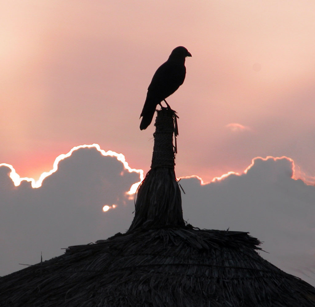 solitario al tramonto