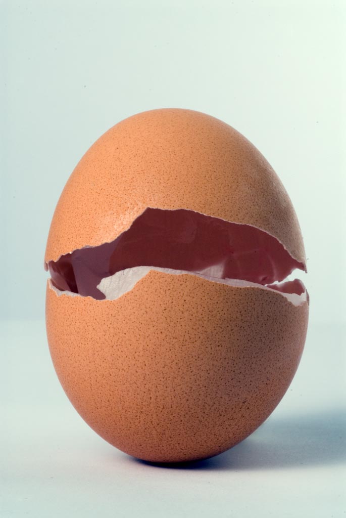 Uovo che si apre
