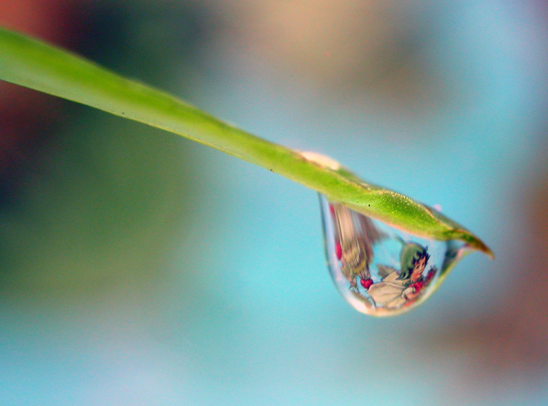 il folletto...delle gocce