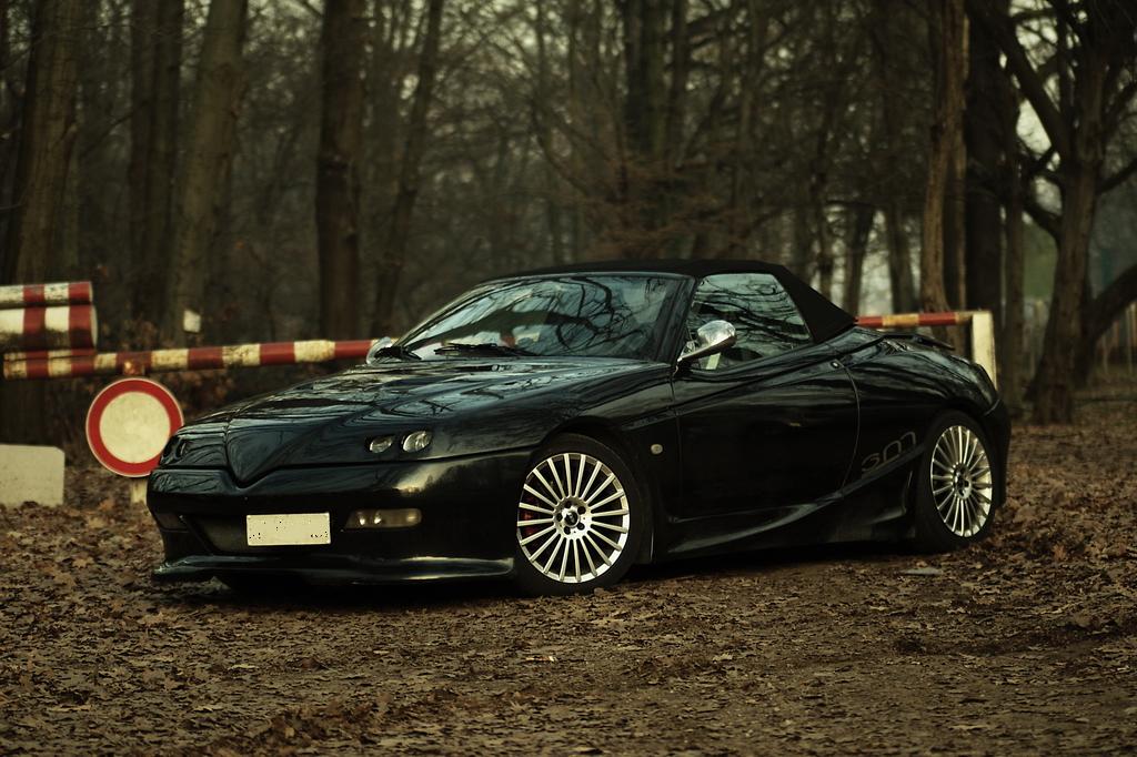 La mia Batmobile nel parco di Monza