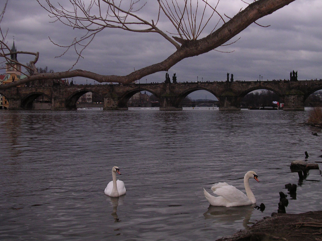 Il Ponte Carlo a Praga